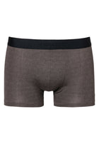 Pureness Print | Boxer Briefs / Trunk - linear geo brown