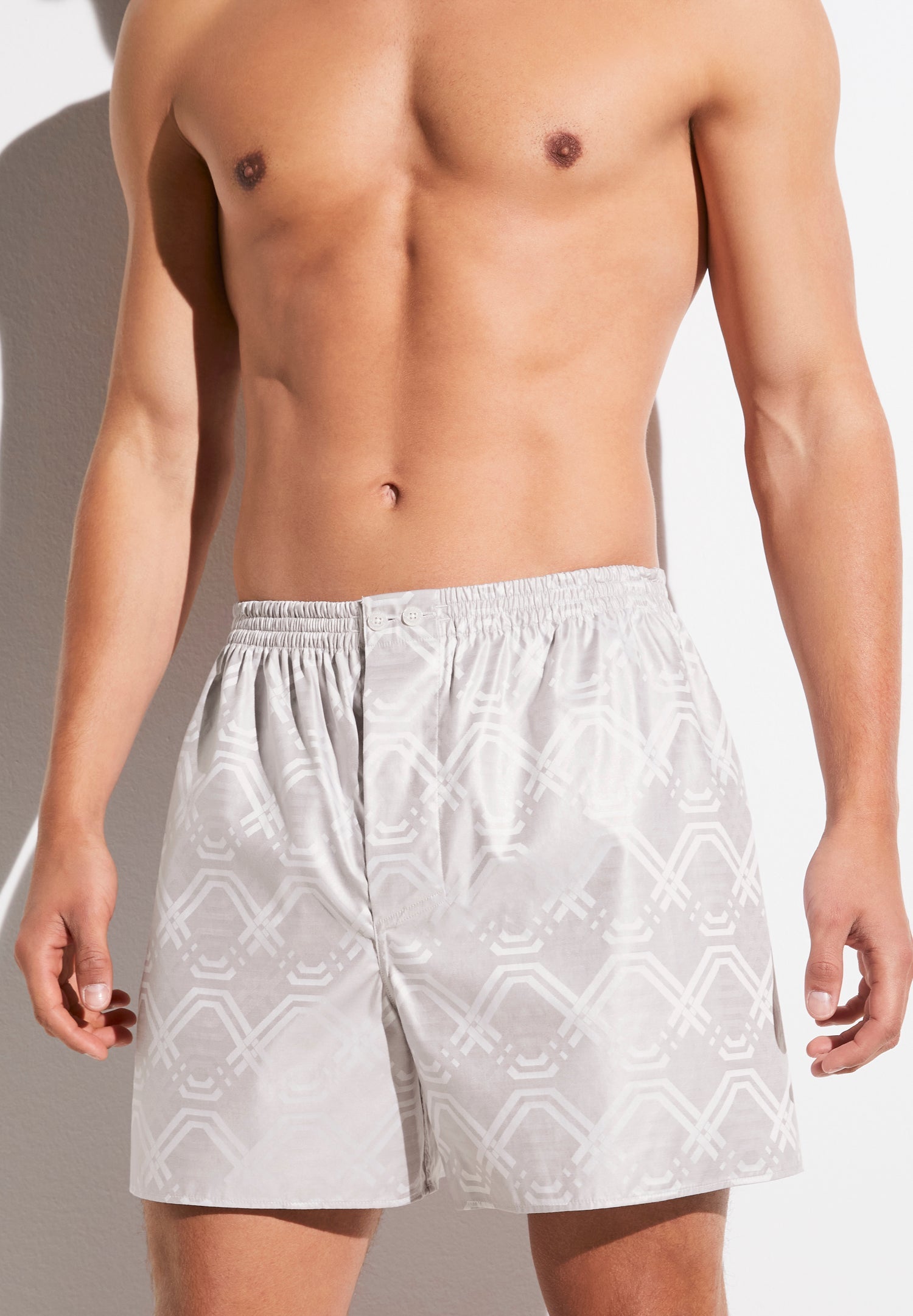 Luxury Jaquards | Boxer Shorts - geo taupe - Zimmerli of Switzerland